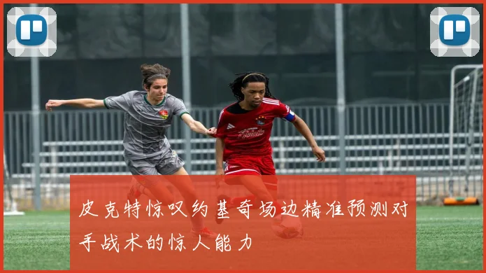 皮克特惊叹约基奇场边精准预测对手战术的惊人能力